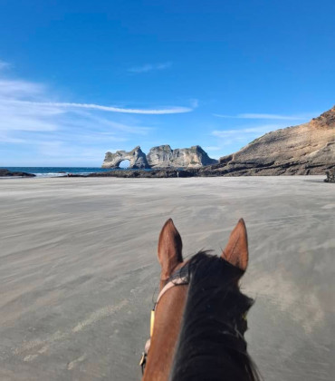 Horse Riding