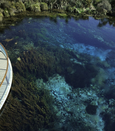Te Waikoropupū Springs (Pupu Springs)